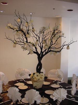 Manzanita Centerpiece